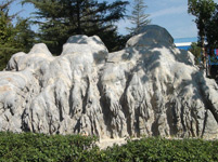 �F�Y(ji��)�Mȡ