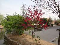 ̫�O������^(q��)