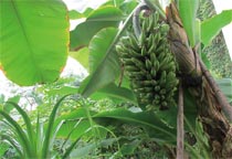 �������������B(t��i)�@��(n��i)���L(zh��ng)���㽶