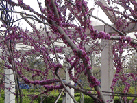 ̫�O�²����O(sh��)�乫˾���쾰ɫ