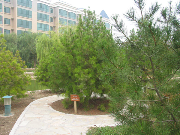 ̫�O�²����O(sh��)�乫˾